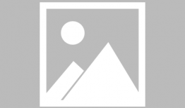 91电视直播apk,一站式观看海量直播节目的神器